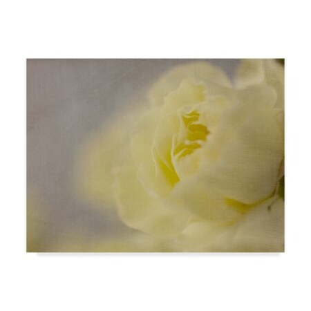 Judy Stalus 'Rose Whisper Ii' Canvas Art,18x24